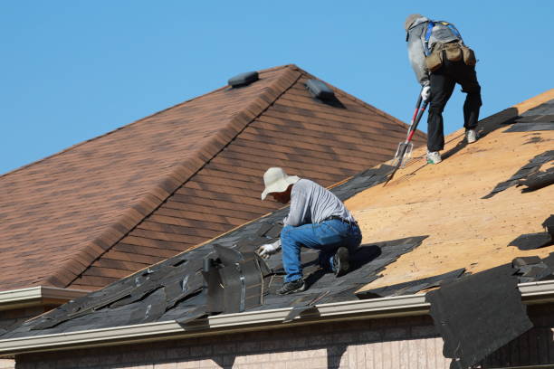 Best Roof Coating and Sealing  in Wilberforce, OH