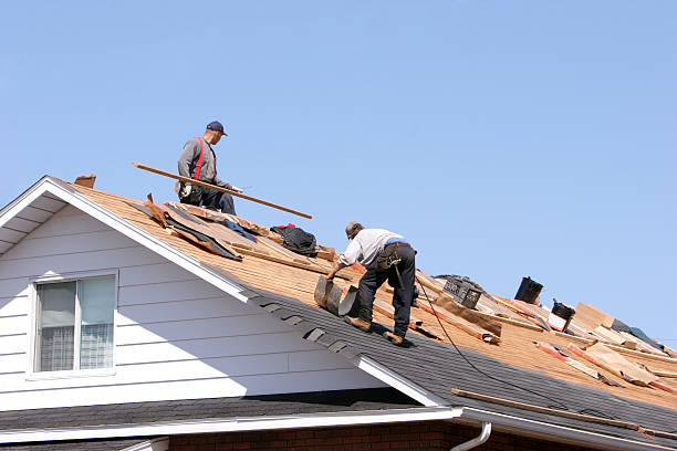 Reliable Wilberforce, OH  Roofing repair and installation Solutions